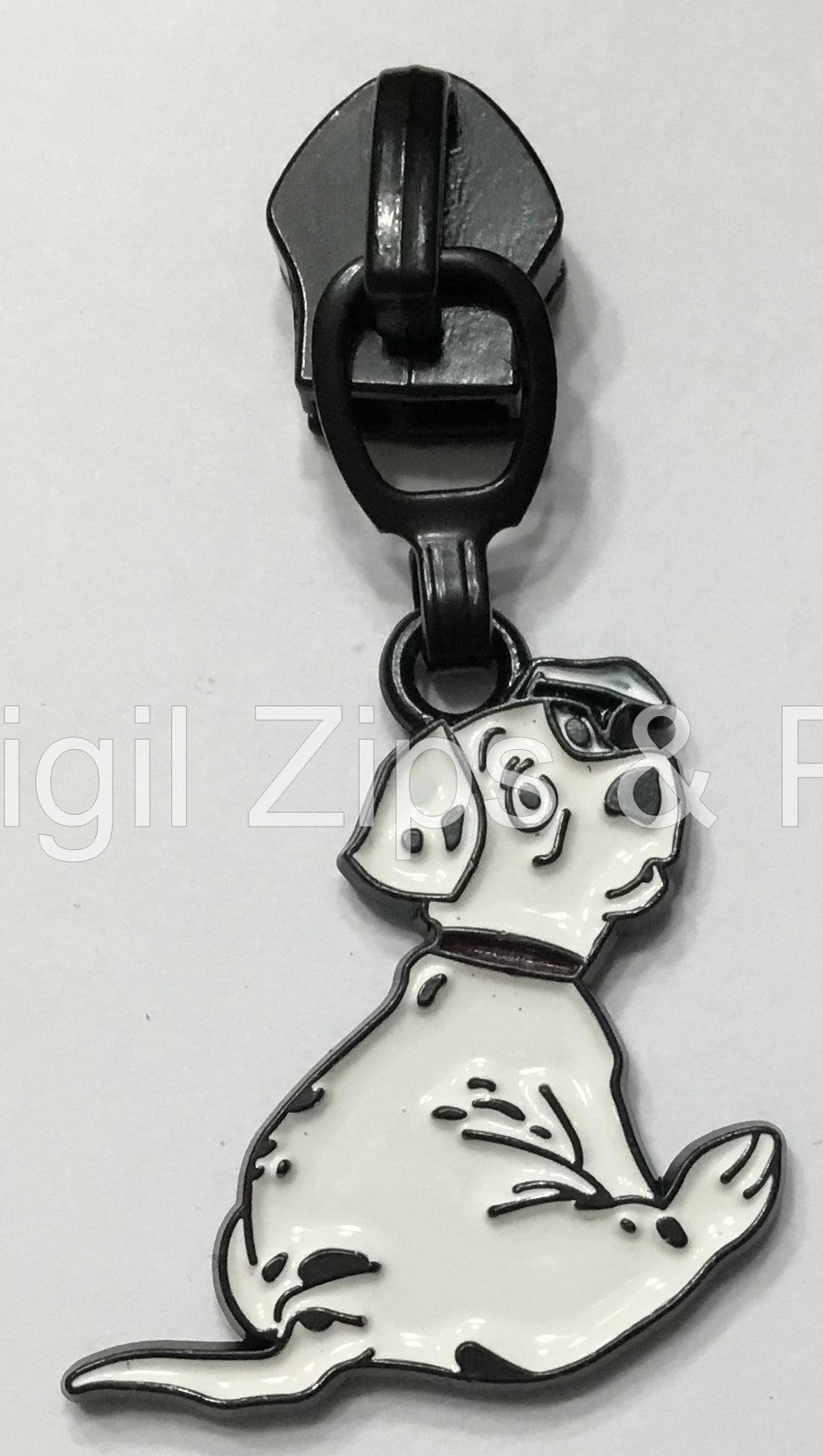Chubby Dalmatian Puppy - Full Color