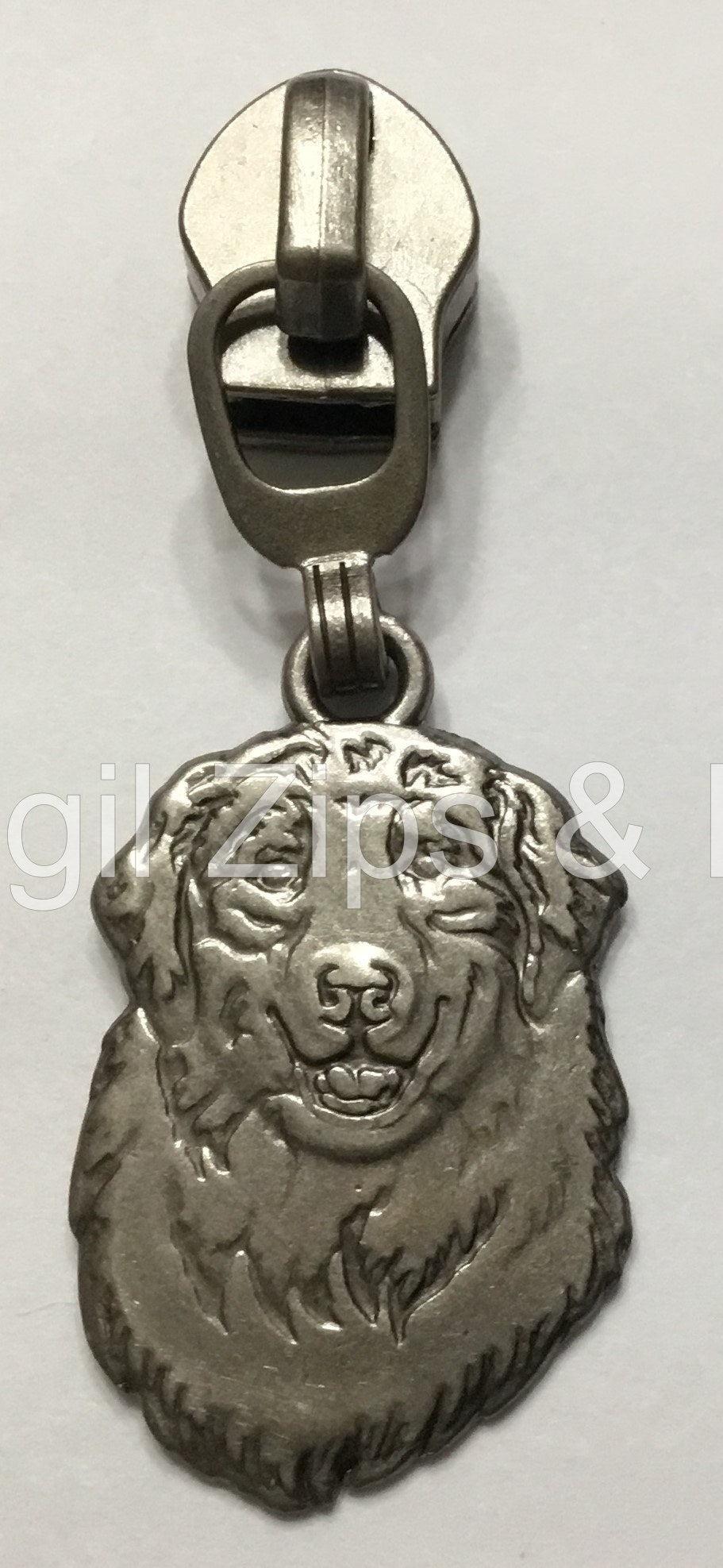 Australian Shepherd Dog - 2 Colors
