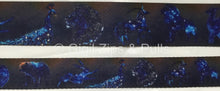 Load image into Gallery viewer, Webbing - Animal Stars - 1&quot; &amp; 1.5&quot;
