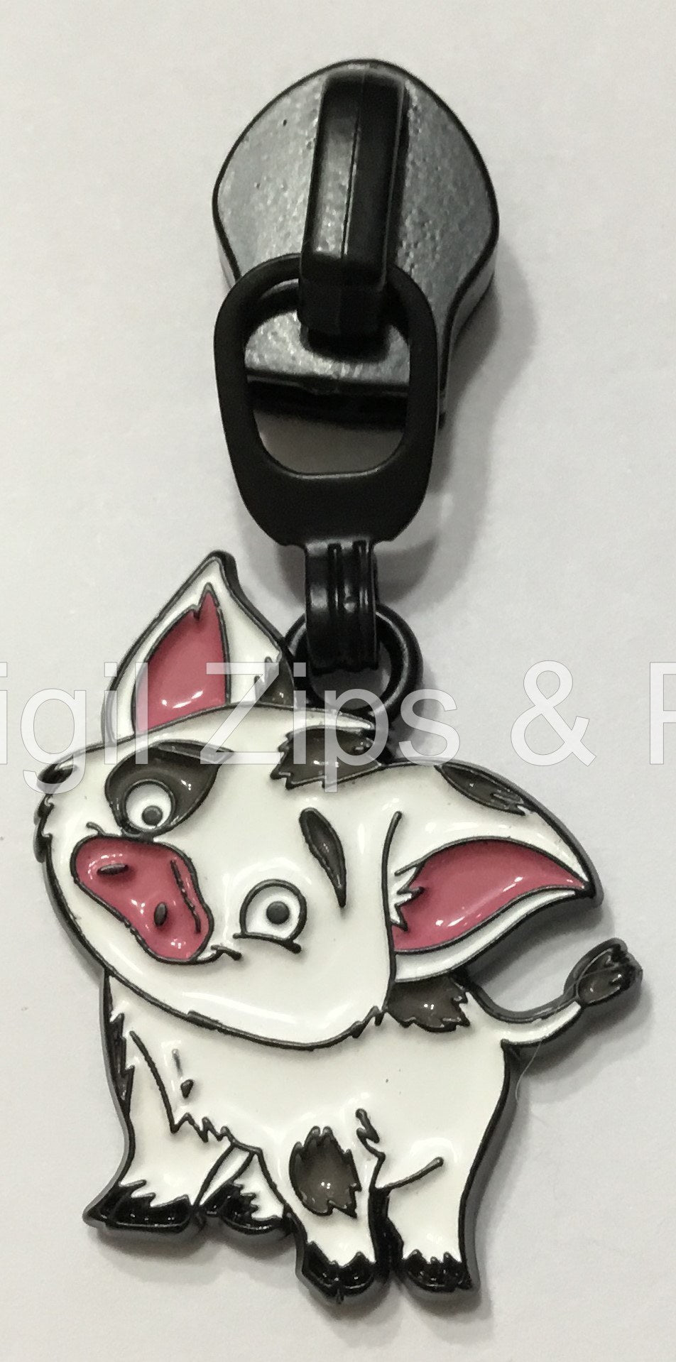 Pot Belly Pig - Full Color