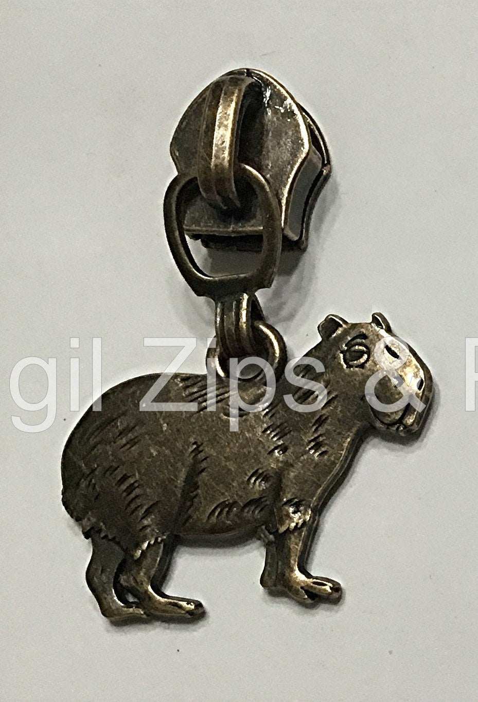 Capybara - 4 Colors